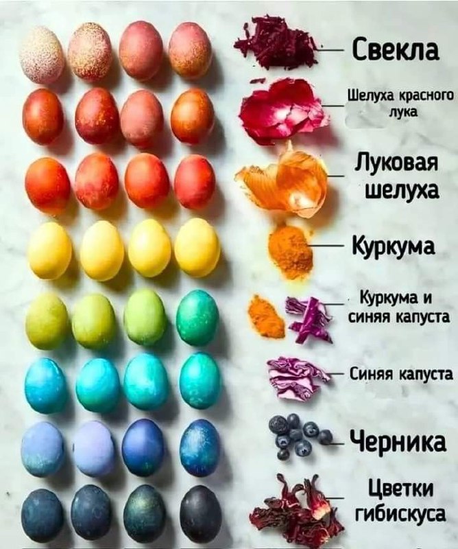 Памятка про природные красители для яиц