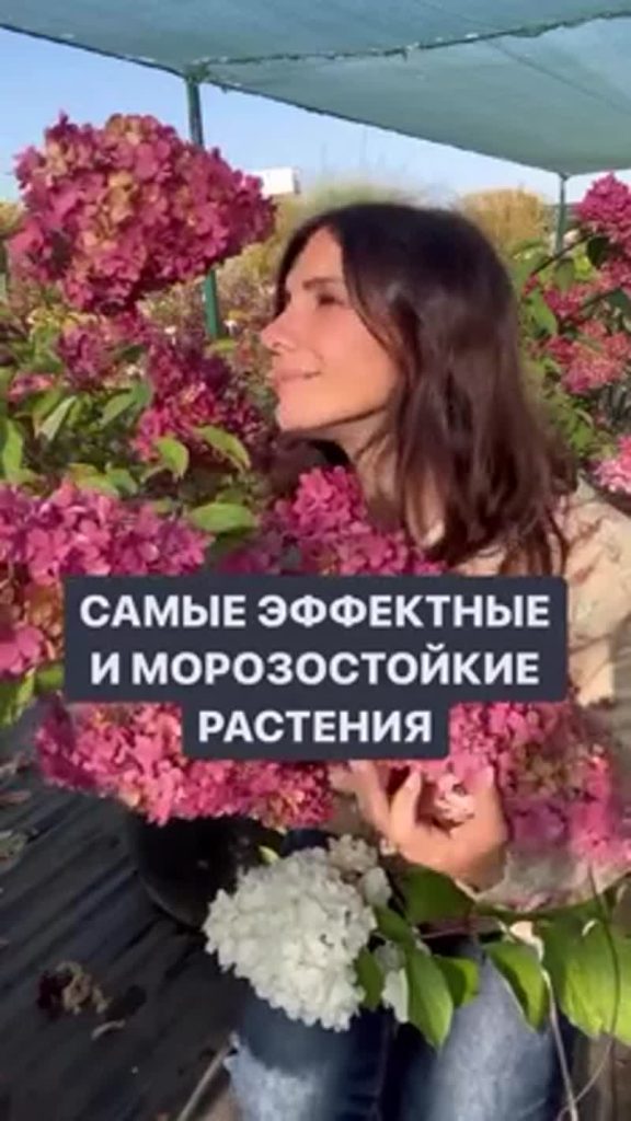 Многолетние растения для сада