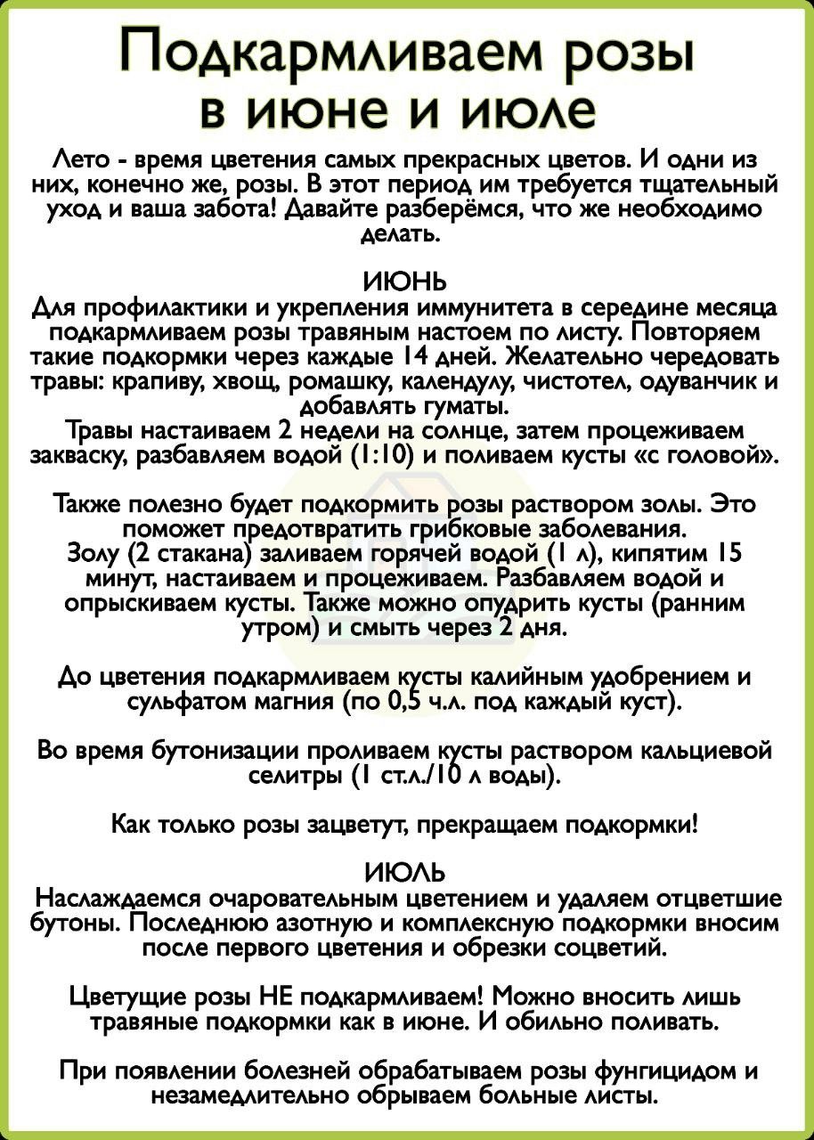 Розы