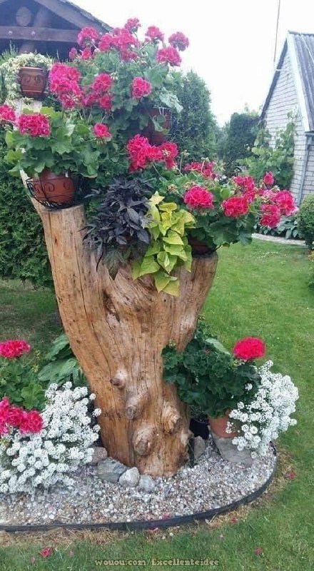 Пень на участке