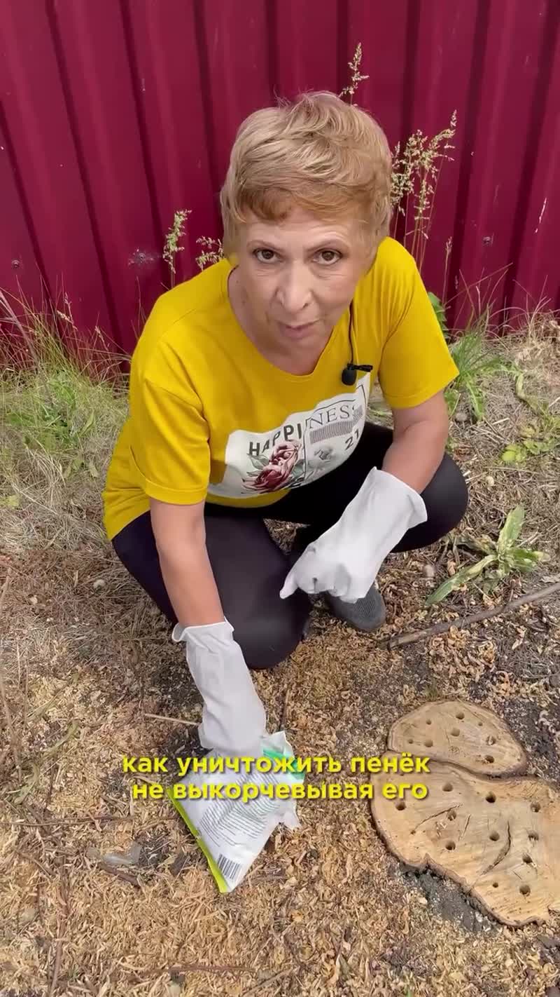 Как убрать пень