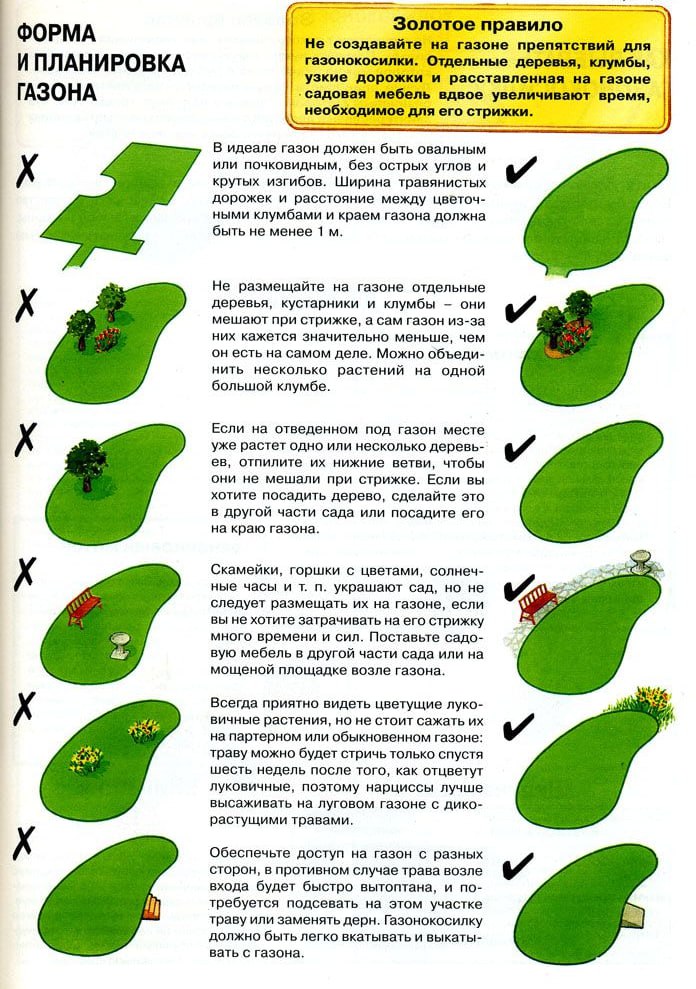 Красивый газон на участке