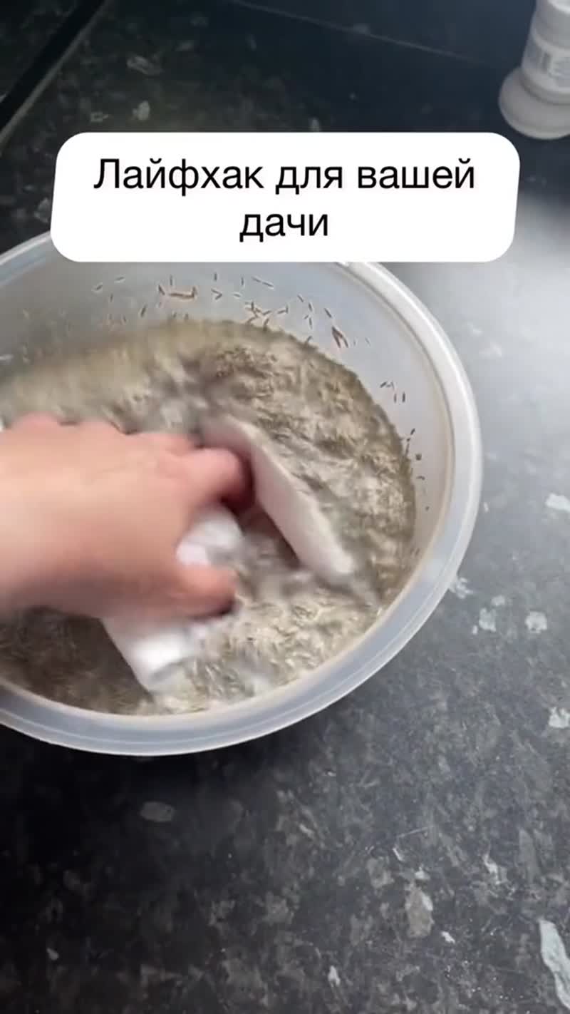 Как спасти газон?